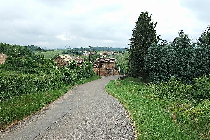 2010-06- (27).JPG